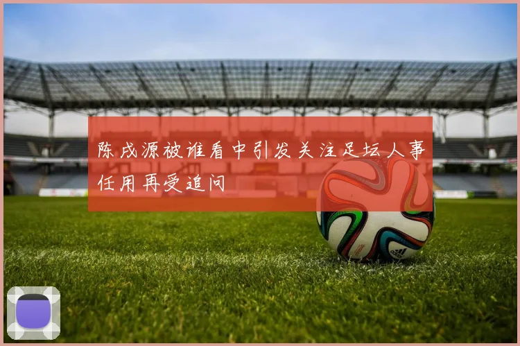 陈戌源被谁看中引发关注足坛人事任用再受追问