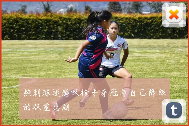 热刺球迷感叹枪手夺冠与自己降级的双重悲剧