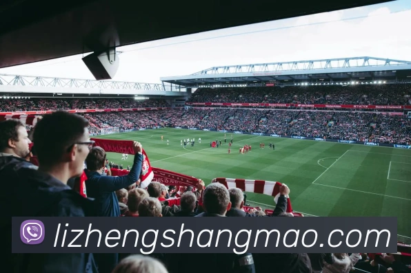 数据防护可视化